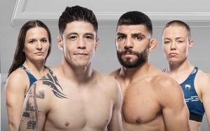 Результати турніру UFC Fight Night 246: Брендон Морено - Амір Албазі
