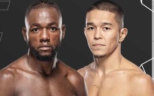 Результати турніру UFC Fight Night 253: Манель Капе - Асу Алмабаєв