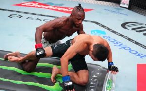 Результати турніру UFC Fight Night 279