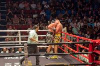 Тайсон Ф'юрі достроково переміг Маріуша Ваха
