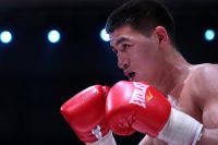 Менеджер Бівола - про відмову WBC санкціонувати бої Дмитра: "Ми поб'ємося за звання абсолюту без цього титулу"