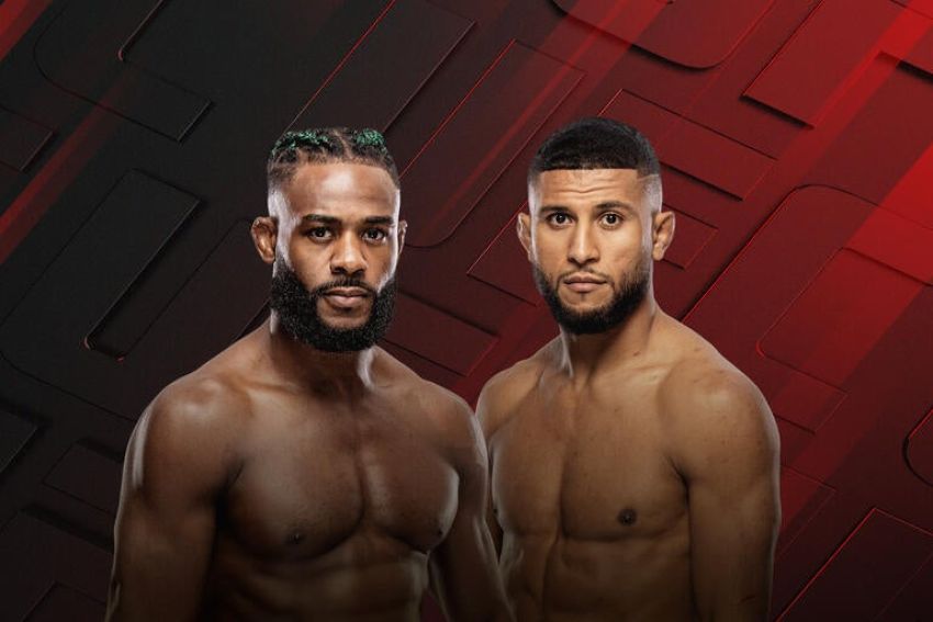 UFC Fight Night 274. Дивитися онлайн прямий ефір