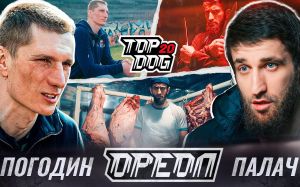 Top Dog FC 20. Дивитися онлайн прямий ефір