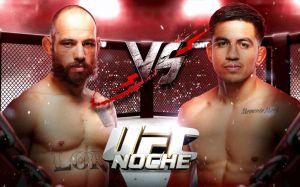UFC Fight Night 288. Дивитися онлайн пряму трансляцію