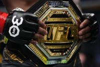 Рейтинг бійців UFC за травень 2024 року