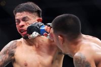 Відео бою Джошуа Ван - Брендон Ройвал UFC 317