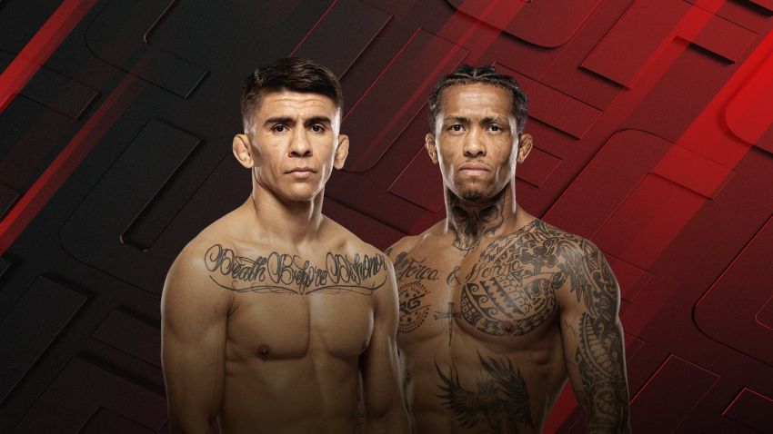 UFC Fight Night 266. Дивитися онлайн прямий ефір