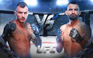 UFC Fight Night 243. Дивитися онлайн прямий ефір