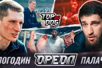 Top Dog FC 20. Дивитися онлайн прямий ефір