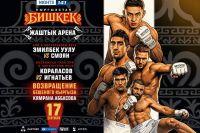 Пряма трансляція Fight Nights 141