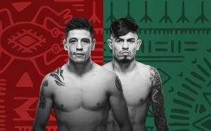 Результати турніру UFC Fight Night 237