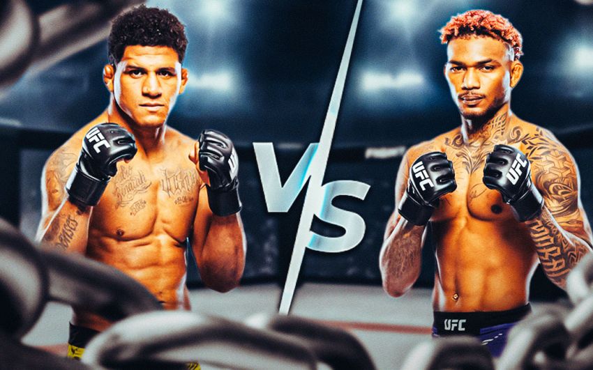 UFC Fight Night 256. Дивитися онлайн прямий ефір