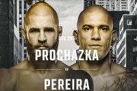 Файткард турніру UFC 295