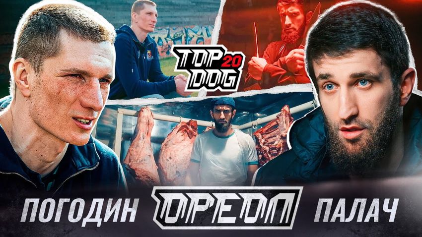 Top Dog FC 20. Дивитися онлайн прямий ефір