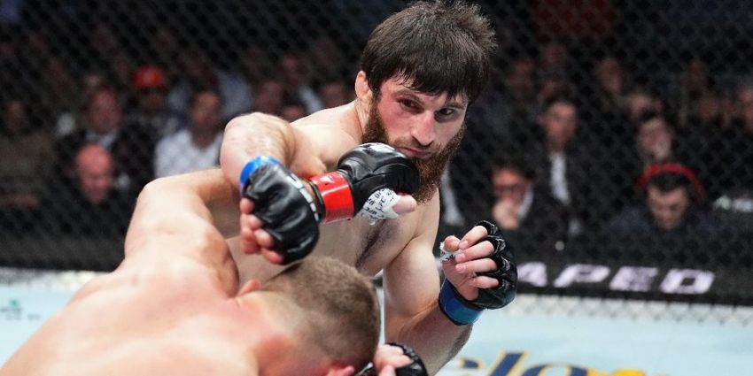 Штирков про результат бою Анкалаєва з Блаховичем: "У UFC грають долями простих пацанів"