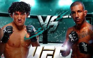UFC Fight Night 289. Дивитися онлайн пряму трансляцію
