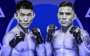 UFC Fight Night 223. Дивитися онлайн прямий ефір