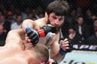 Штирков про результат бою Анкалаєва з Блаховичем: "У UFC грають долями простих пацанів"