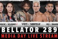 Результати турніру Bellator 289