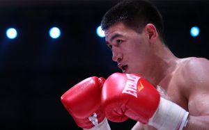 Менеджер Бівола - про відмову WBC санкціонувати бої Дмитра: "Ми поб'ємося за звання абсолюту без цього титулу"