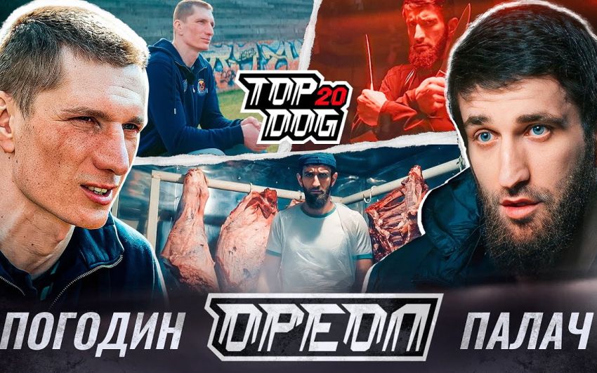 Top Dog FC 20. Дивитися онлайн прямий ефір