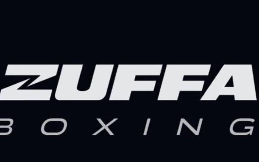 Zuffa Boxing: Чому компанії не вдається завоювати ринок?